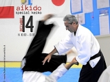 Aikido Special Keiko
